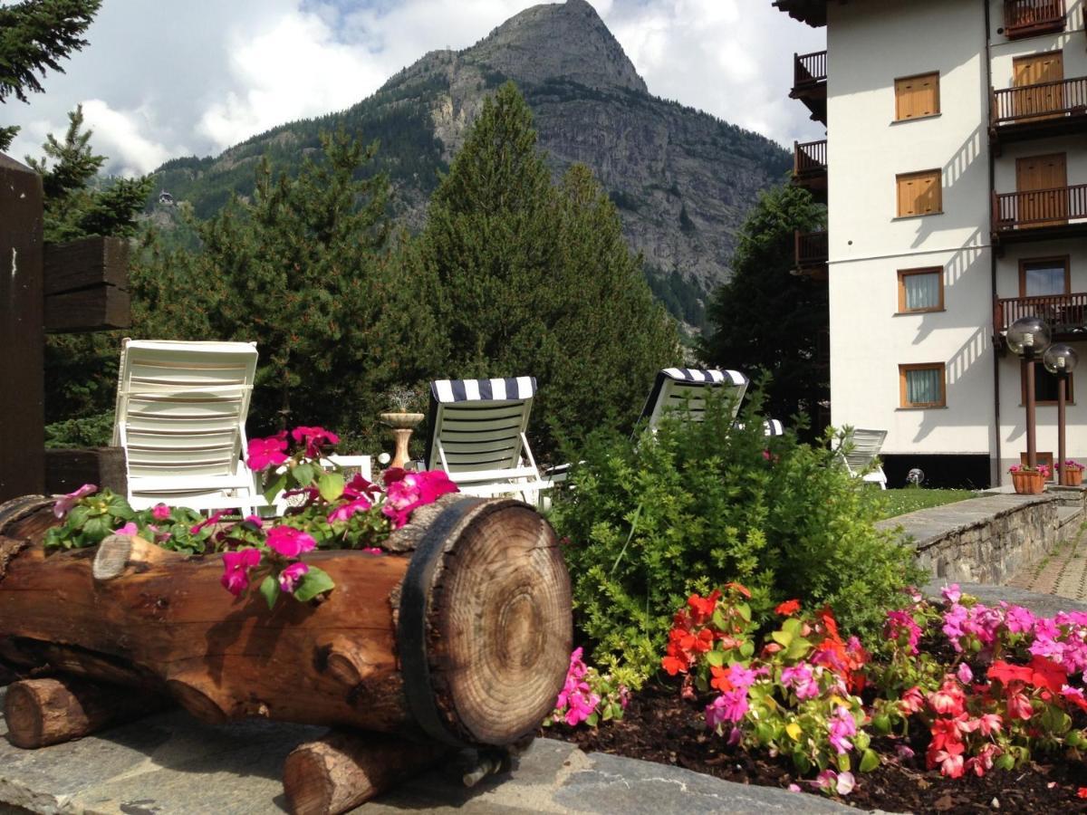 Triolet Courmayeur